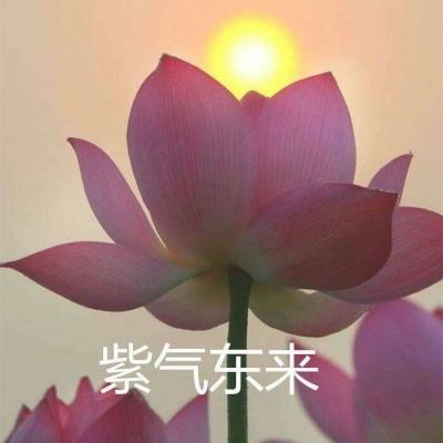 造梦联盟抢先版下载